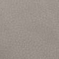 
Gun Gris 113