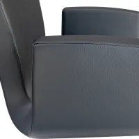 Fauteuil coiffure Barbizon #3