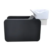 Wash Unit Smartwash #3