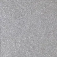 Silver 13