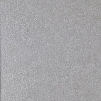 Silver 13
