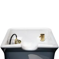 Pour bac de lavage Set Mitigeur Or #2