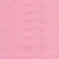Rose V24
