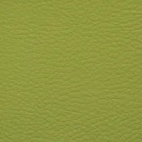 Vert 119